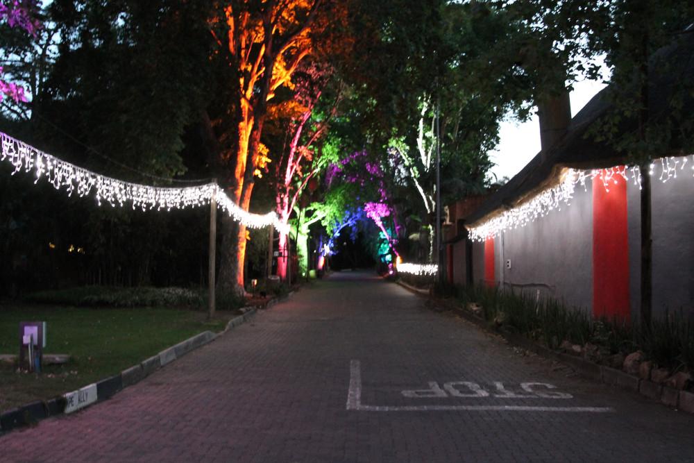 DWR delivers for the Joburg Zoo Festival of Lights